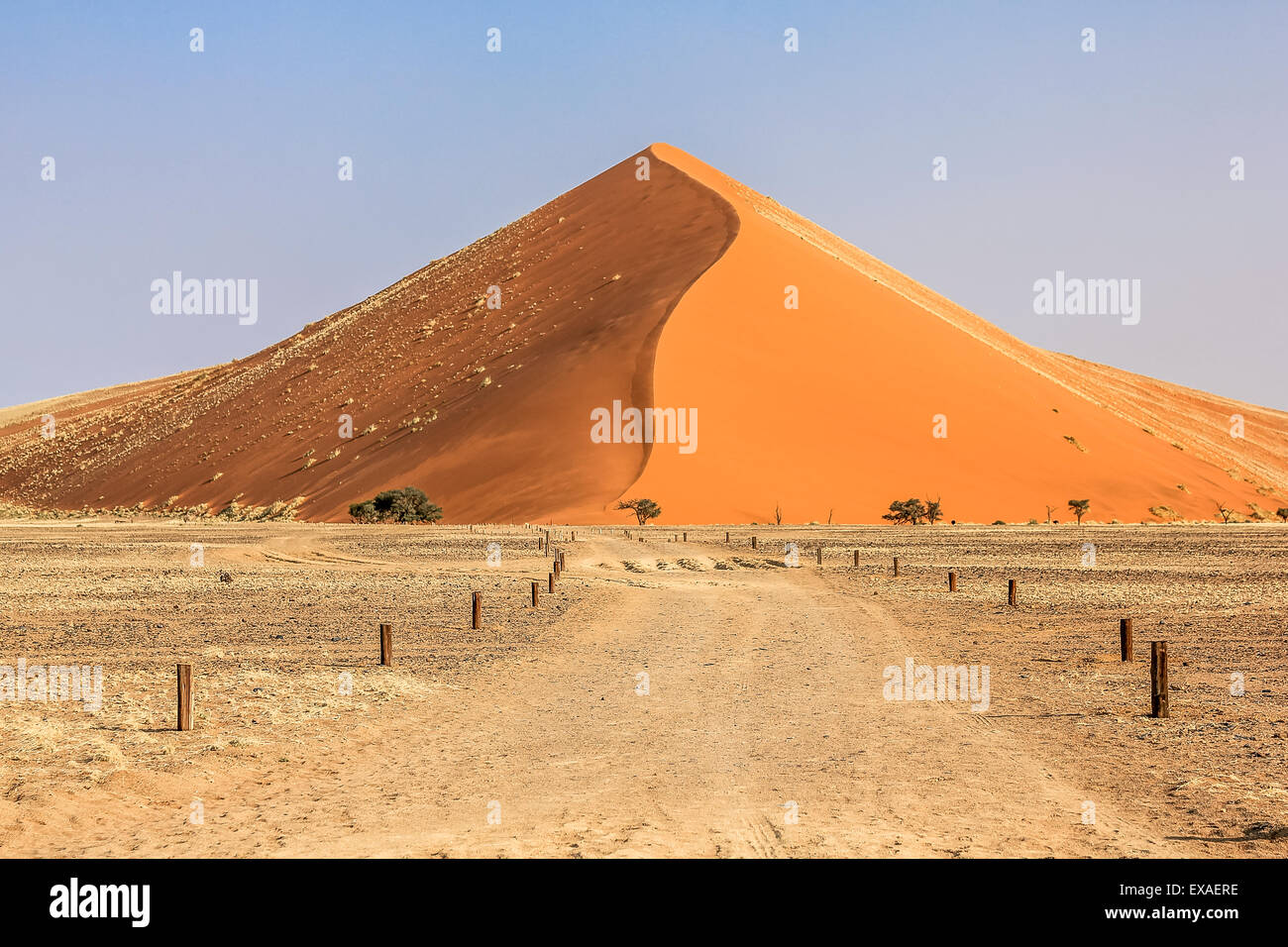 Dunes du désert Banque D'Images