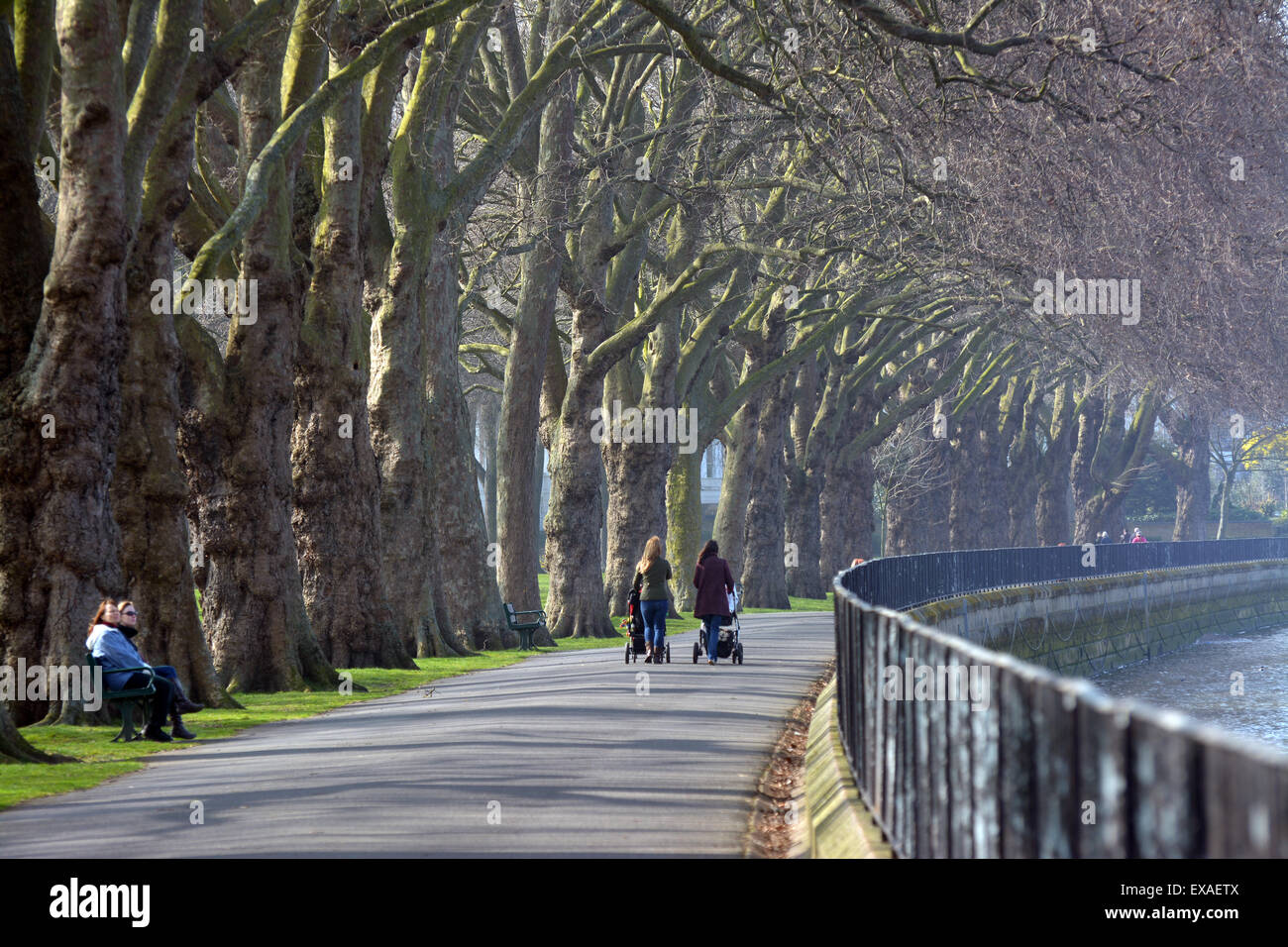 Deux femmes marchant le long d'une avenue de platanes dans Wandsworth Park sur la rive sud de la Tamise à Putney Banque D'Images