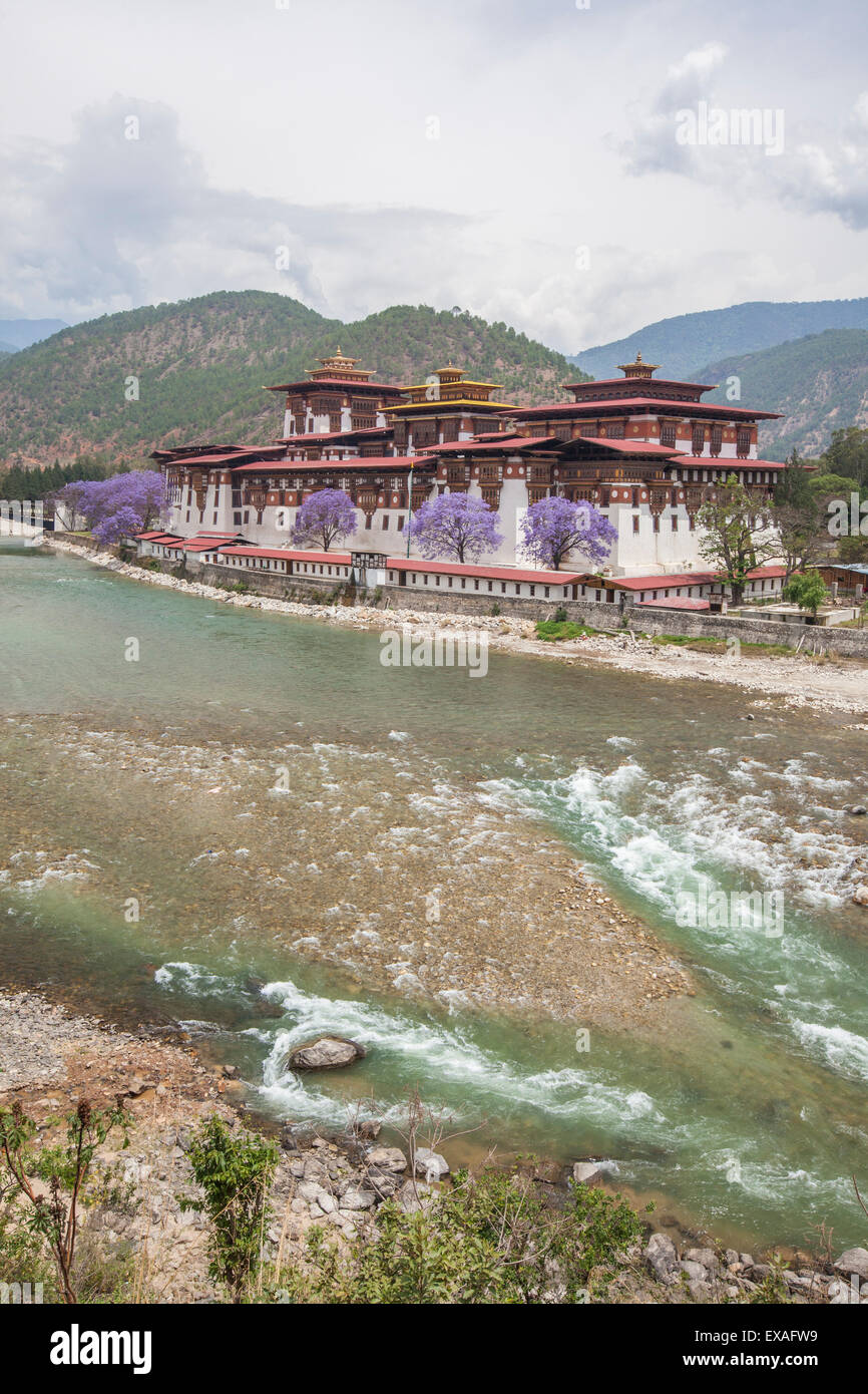 Le Punakha Dzong Pungtang Dechen Photrang (dzong) est le centre administratif du district de Punakha à Punakha, Bhoutan, Asie Banque D'Images
