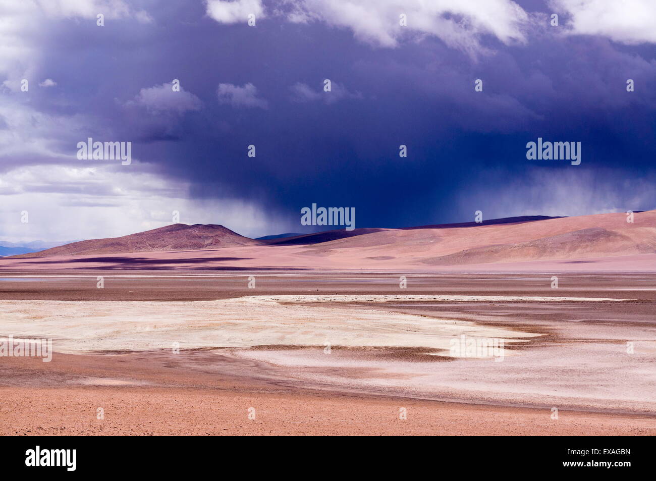 Désert d'Atacama, Chili, Amérique du Sud Banque D'Images