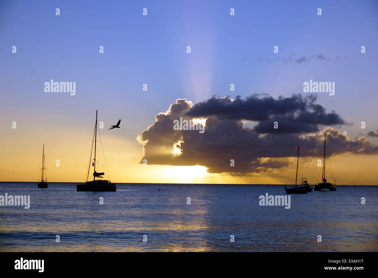 Le coucher du soleil, Saint Kitts et Nevis, Iles sous le vent, Antilles, Caraïbes, Amérique Centrale Banque D'Images