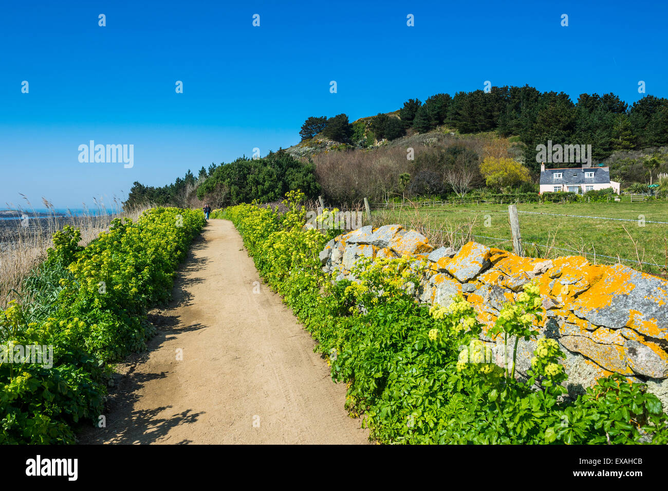 Sentier au-dessus d'une longue plage de sable sur la côte est de l'Herm, Channel Islands, Royaume-Uni, Europe Banque D'Images