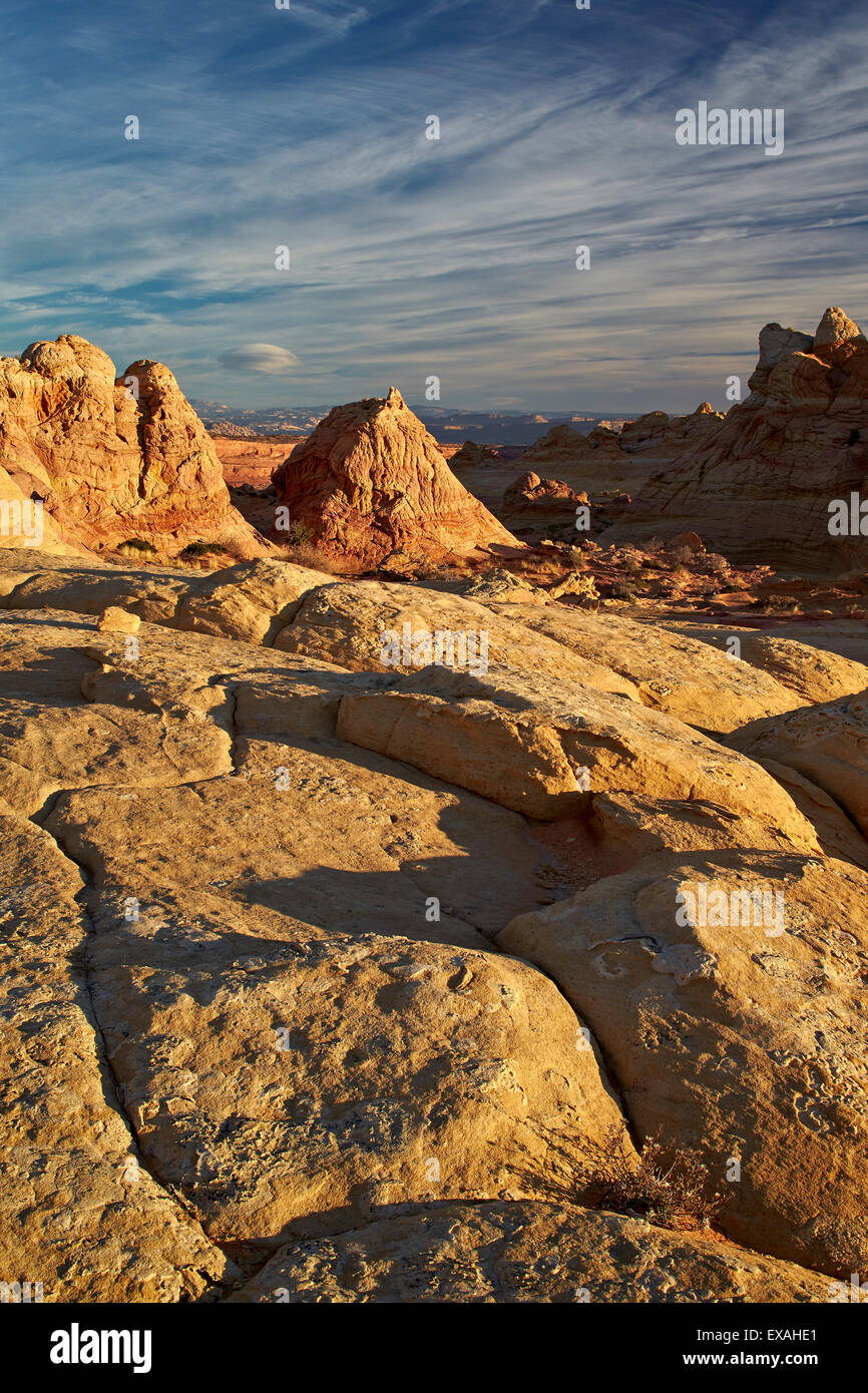 Grès ocre à la première lumière, Coyote Buttes Wilderness, Vermilion Cliffs National Monument, Arizona, États-Unis d'Amérique Banque D'Images