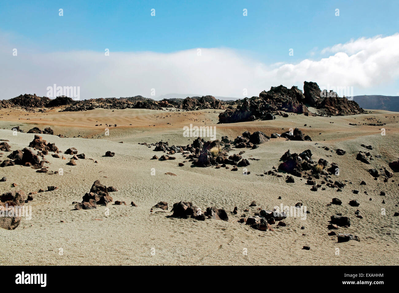 Parc volcanique, Tenerife, Canary Island Banque D'Images