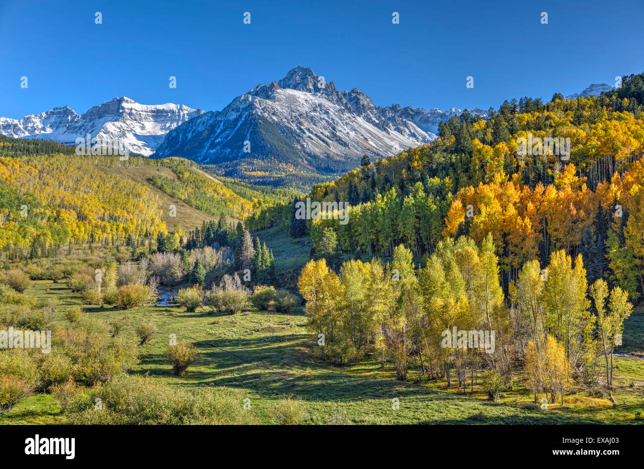 Couleurs d'automne, de Road 7, gamme Sneffle en arrière-plan, près de Ouray, Colorado, États-Unis d'Amérique, Amérique du Nord Banque D'Images