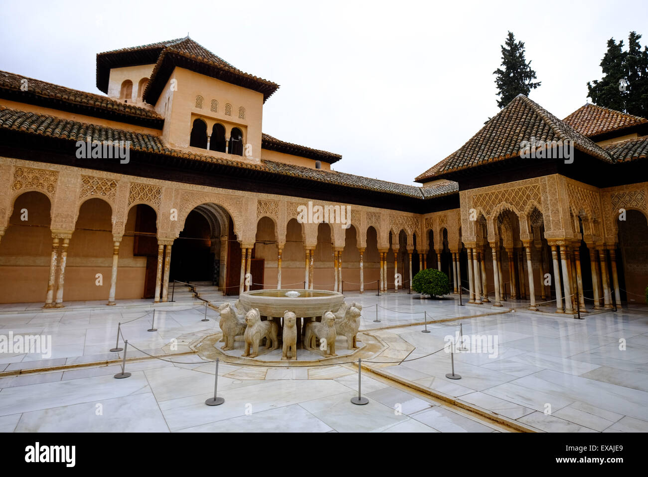 Palais des Lions (Palacio de los Leones), l'Alhambra, Site du patrimoine mondial de l'UNESCO, Grenade, Andalousie, Espagne, Europe Banque D'Images