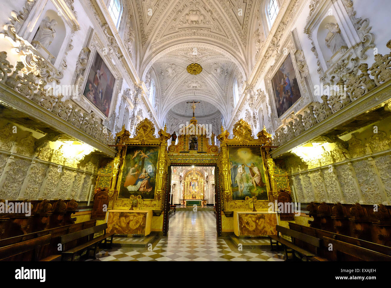 Monastère de la Cartuja, Grenade, Andalousie, Espagne, Europe Banque D'Images