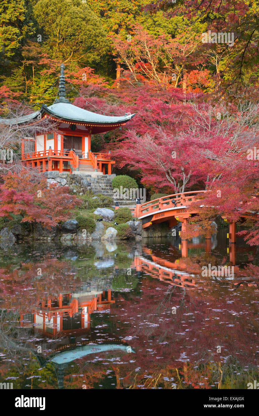 Jardin de temple japonais en automne, Temple Daigoji, Kyoto, Japon, Asie Banque D'Images