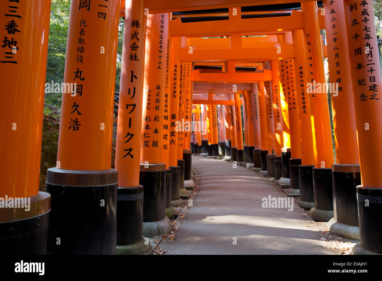 Senbon Torii (1 000) portes Torii, Fushimi Inari Taisha, Kyoto, Japon, Asie Banque D'Images