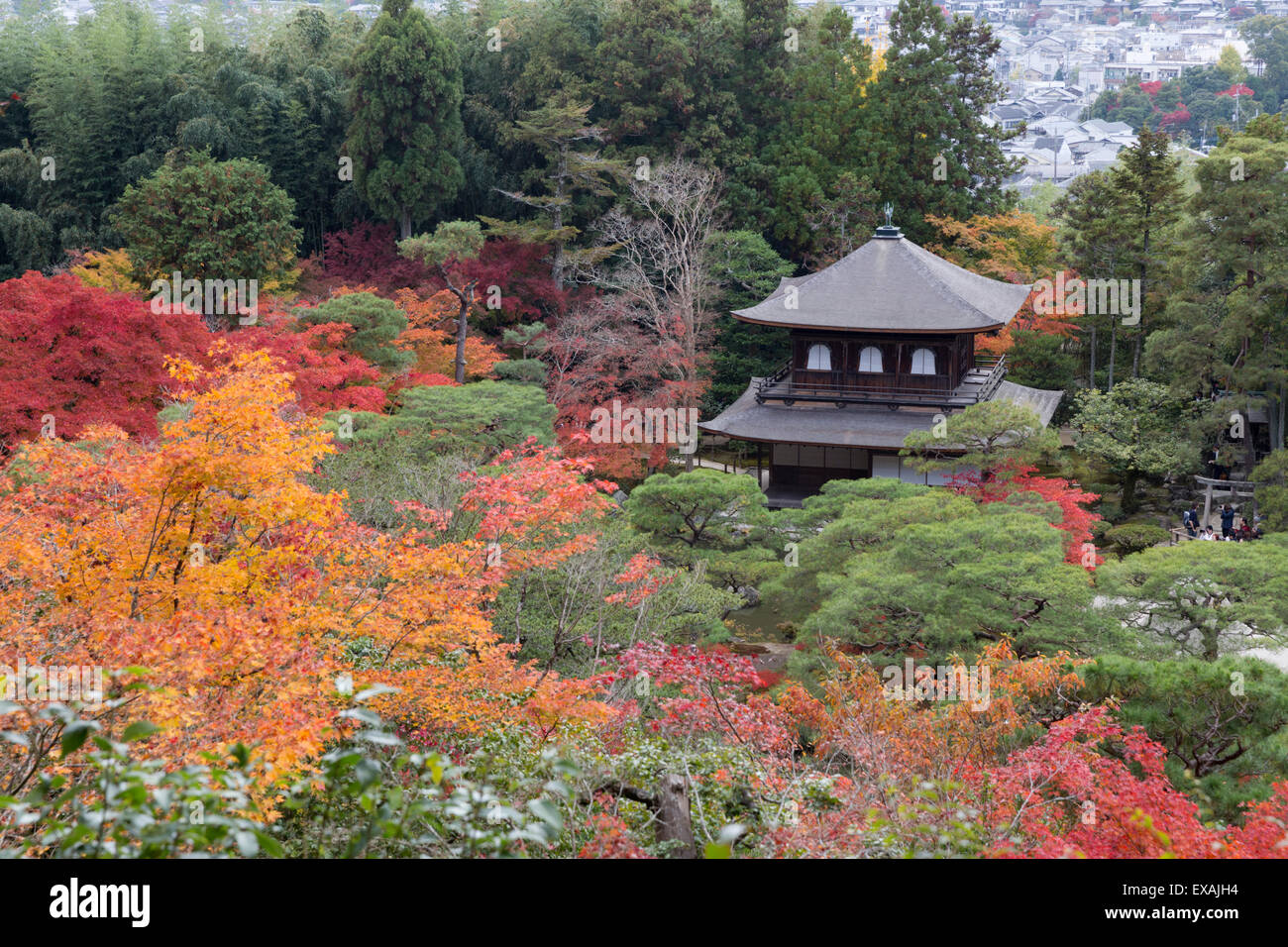 Le pavillon de l'argent et les jardins en automne, Temple bouddhiste de Ginkaku-ji, dans le Nord de Higashiyama, Kyoto, Japon, Asie Banque D'Images