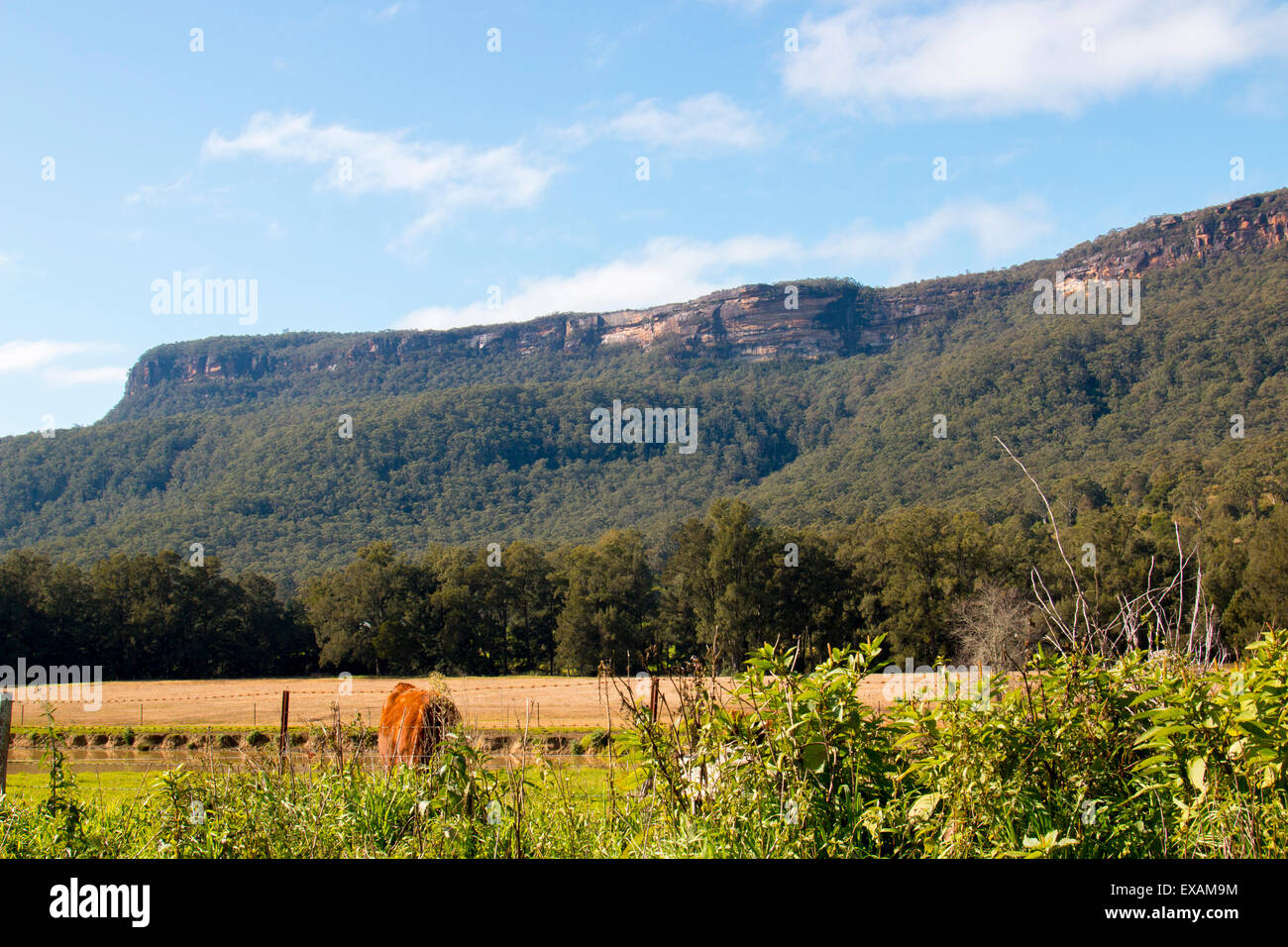 Campagne dans la vallée de Kangaroo, Highlands du sud, nouvelle-galles du sud, australie Banque D'Images