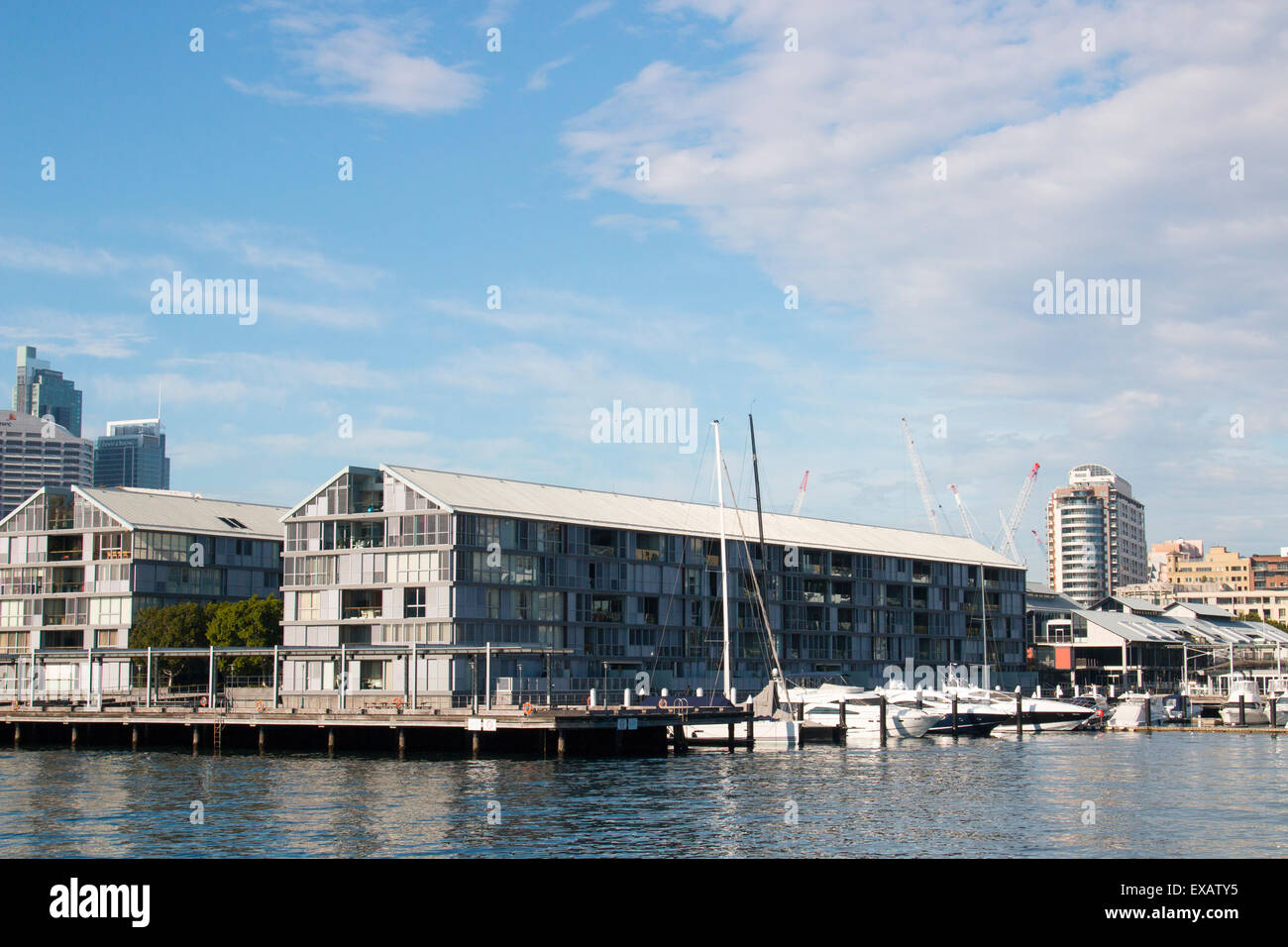Jones Bay Wharf dans Pyrmont,Sydney, Australie Banque D'Images