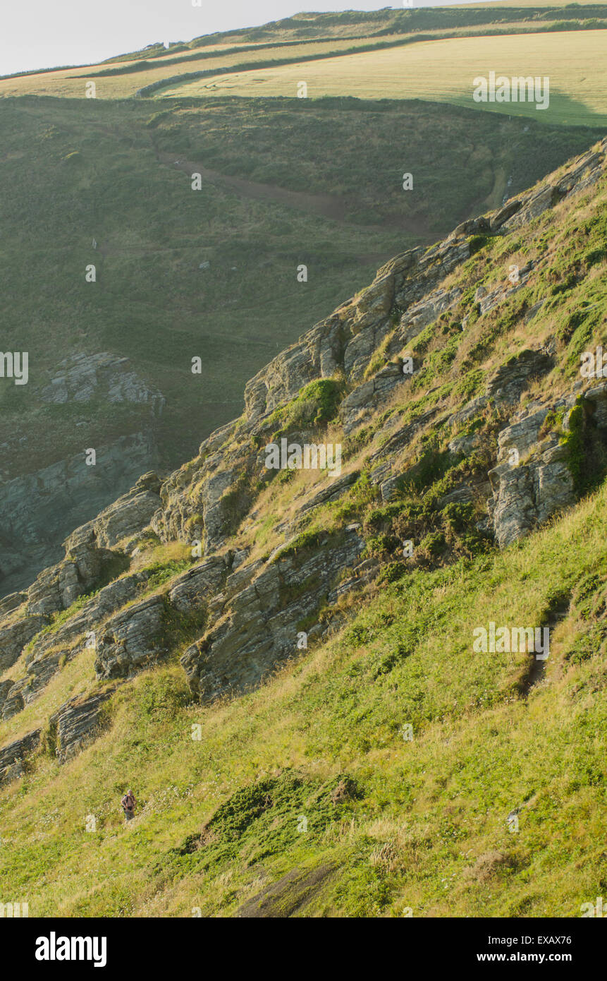 Falaise vert et du paysage, de l'Est Prawle, chef Gammon, Devon, côte ouest, UK Banque D'Images