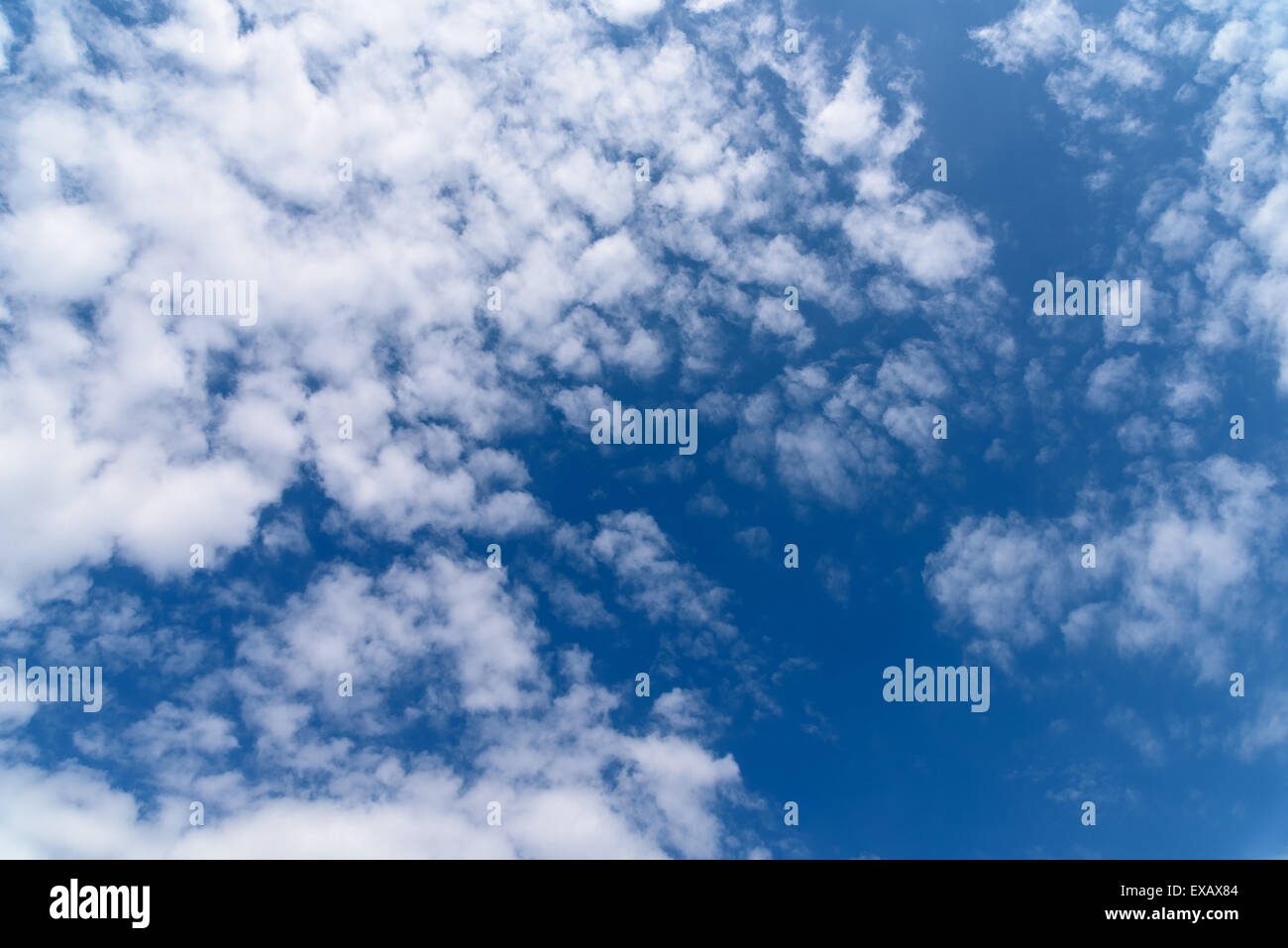 Ciel bleu avec des nuages blancs de fond Banque D'Images