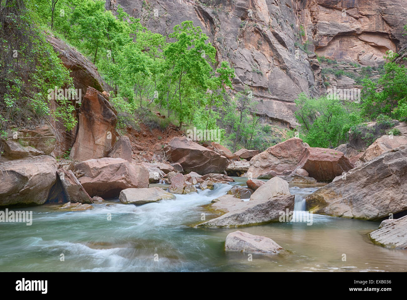 Cascades le long de la Virgin River sur la Promenade du sentier, à Zion National Park, Utah Banque D'Images