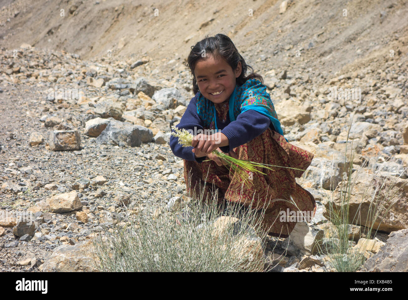 Spiti Valley - jeune fille à partir d'un village de haute altitude dans la vallée de Spiti, Himachal Pradesh, Inde himalayenne Banque D'Images