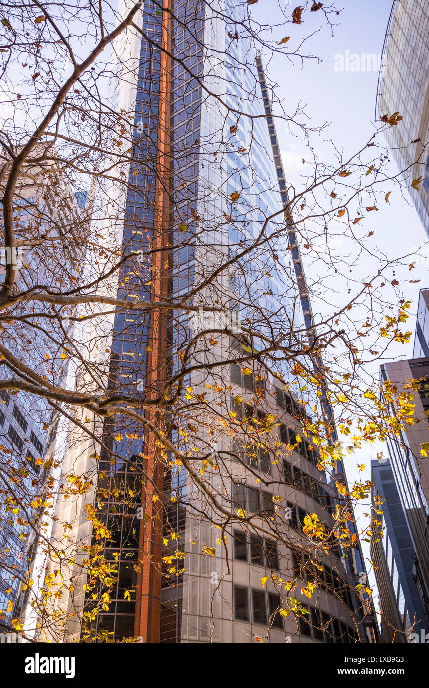 Bent Street, CBD, Sydney, Australie Banque D'Images