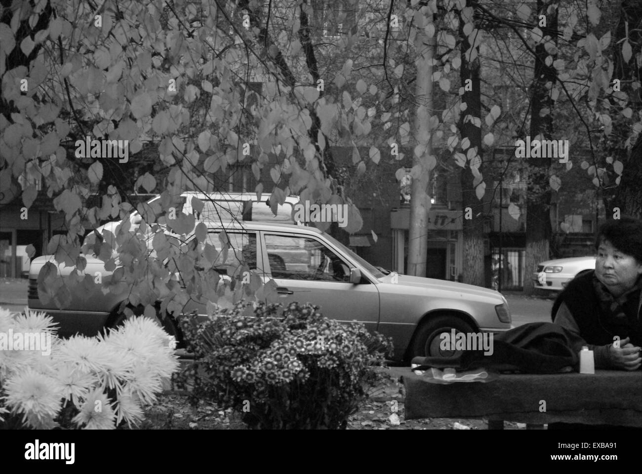 Marchande de fleurs, Almaty, Kazakhstan Banque D'Images