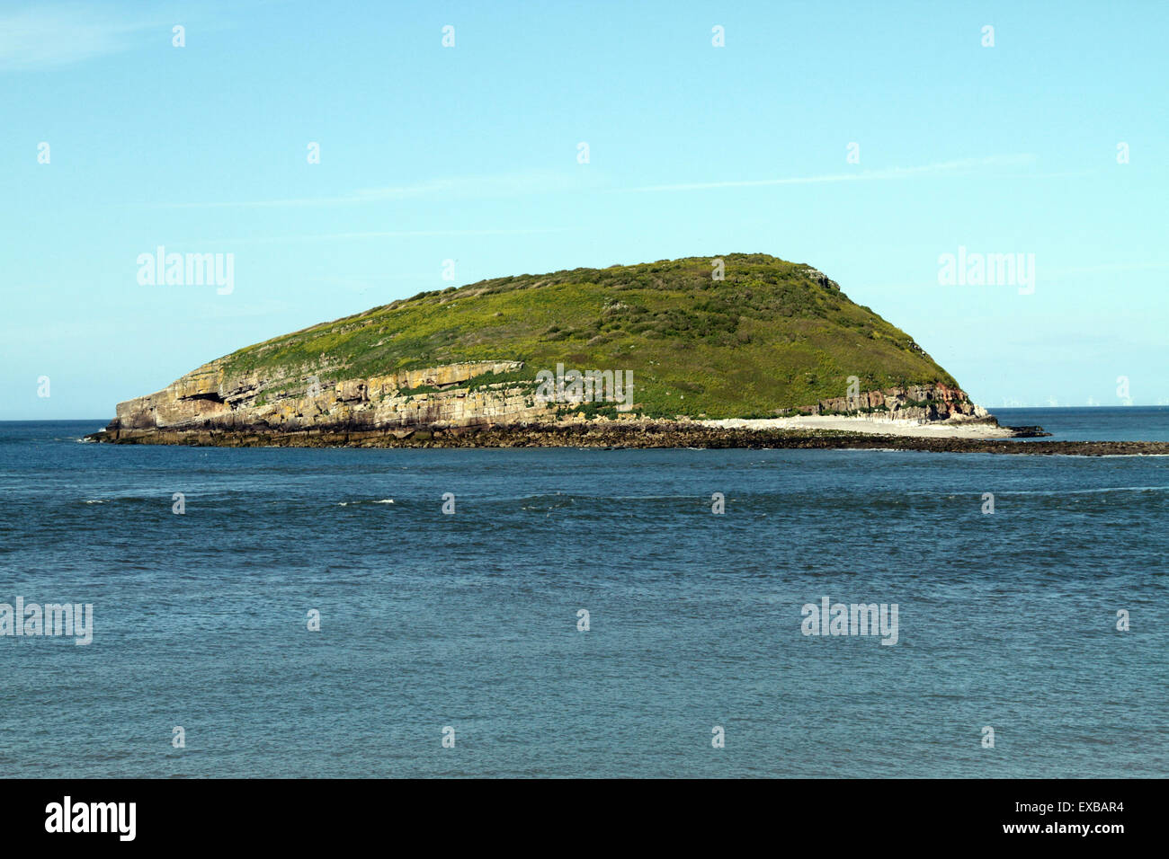 Mediatice Ynys, ou l'île de macareux Banque D'Images