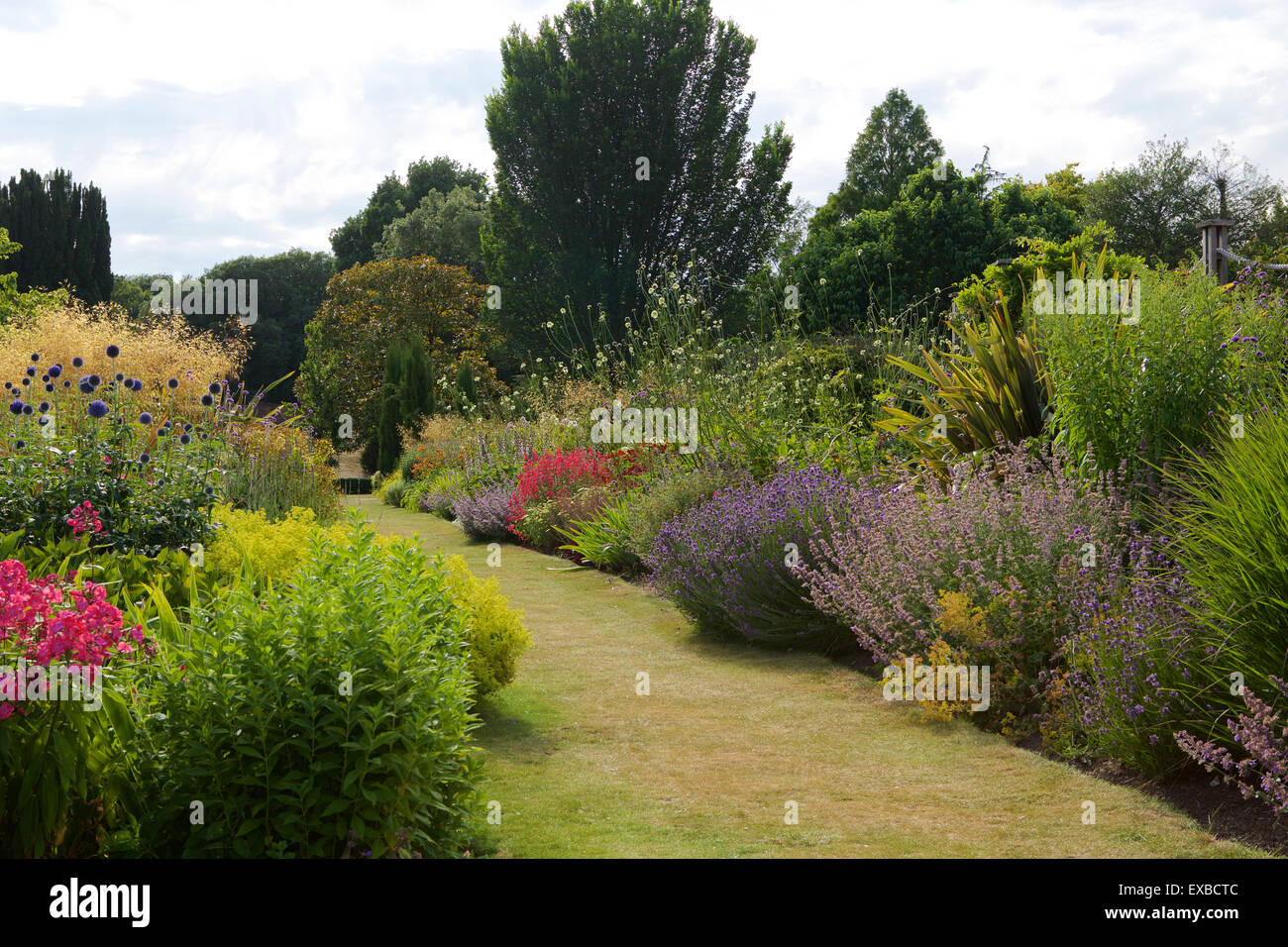 Jardin d'été ; la frontière très complet rempli de fleurs d'été tomber sur une pelouse. Banque D'Images