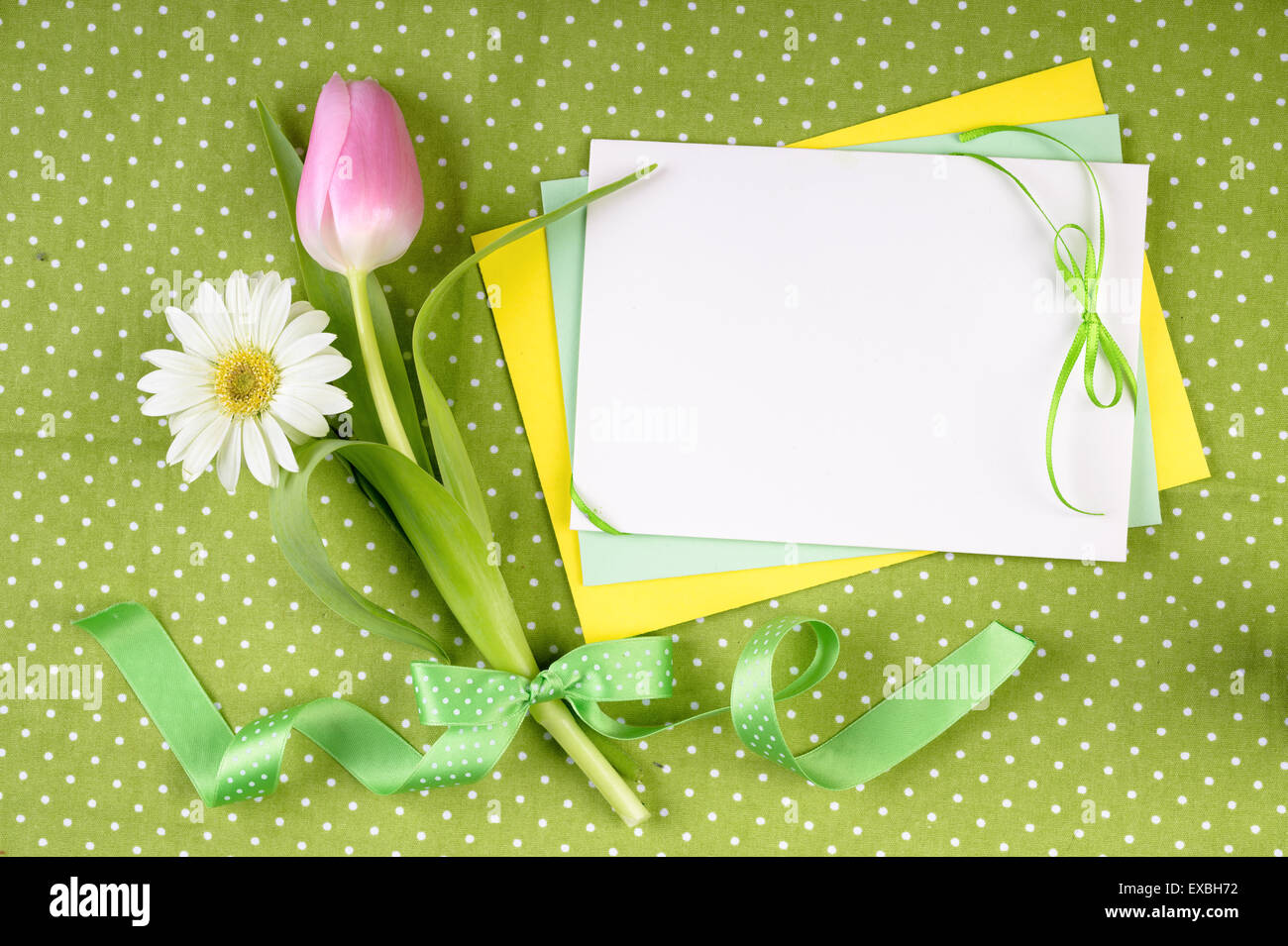 Printemps Cadre Pour Votre Carte De Vœux Avec Des Fleurs Et Des Rubans En Vert Jaune Et Rose Photo Stock Alamy Printemps Cadre Pour Votre Carte De Vœux Avec Des Fleurs Et Des Rubans En Vert Jaune Et Rose Photo Stock Alamy
