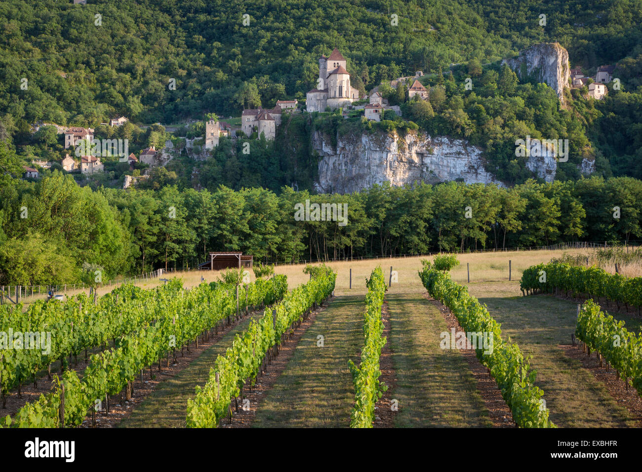 Soir vue sur vignoble de ville médiévale de Saint-Cirq-Lapopie, Midi-Pyrenees, France Banque D'Images
