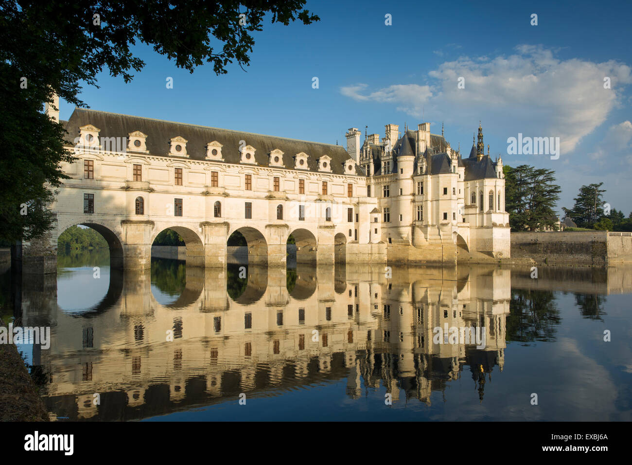 Tôt le matin, au Château de Chenonceau, Indre-et-Loire, Centre, France Banque D'Images