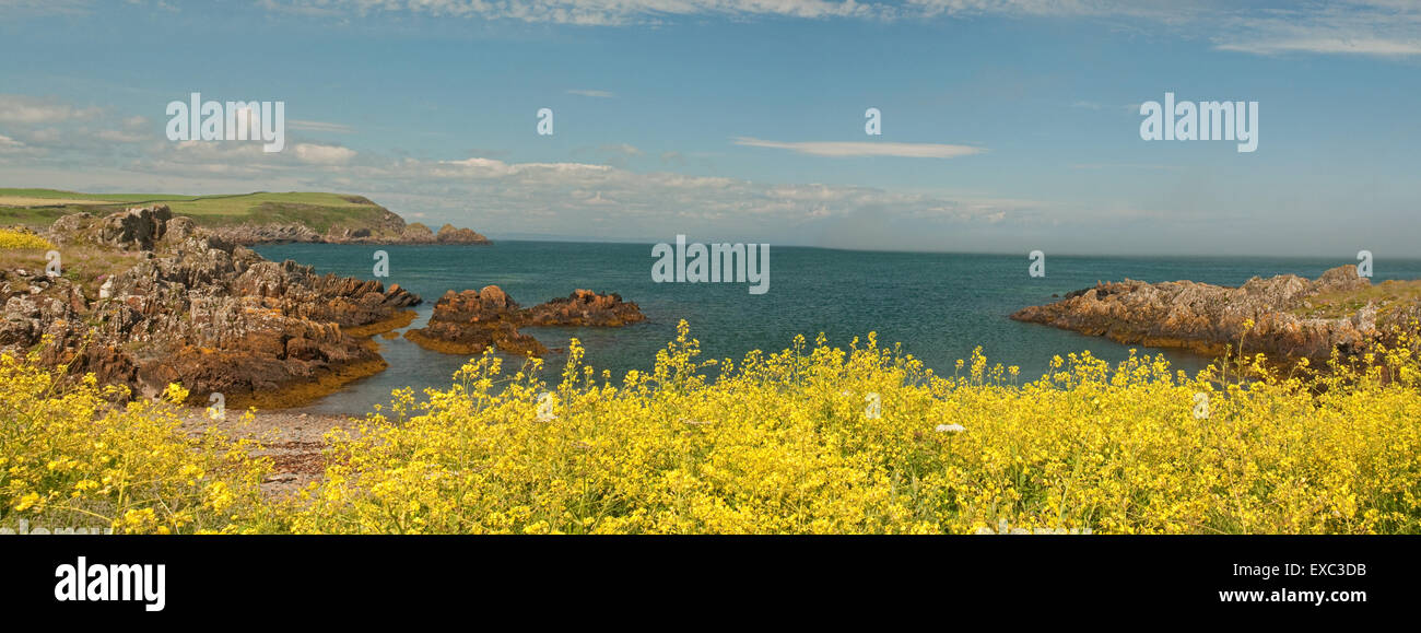 Isle de Whithorn littoral avec la Mer panoramique de chou fleur Banque D'Images