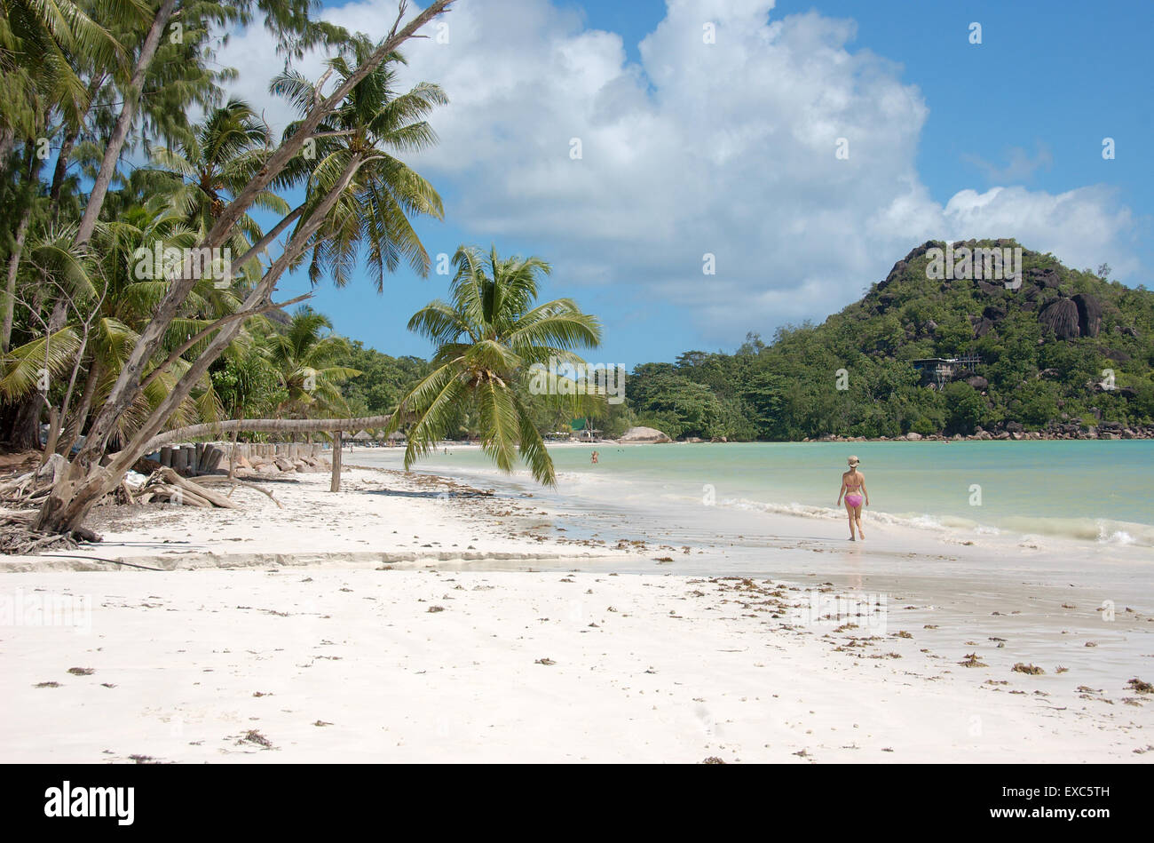 Paysage côtier, Praslin Island, Seychelles, océan Indien Banque D'Images