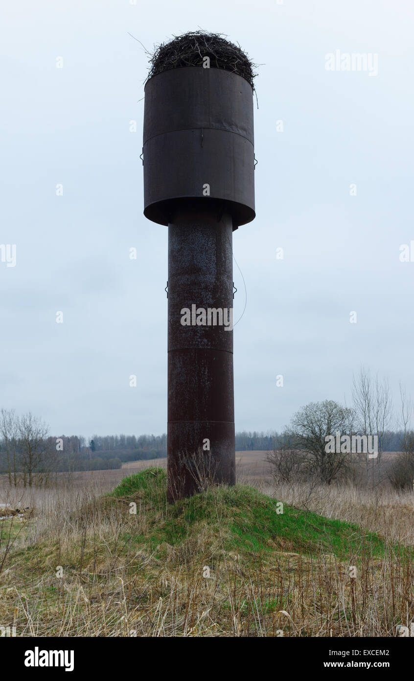 L'oiseau d'une cigogne s'appuie sur des nids de grands bâtiments et constructions Banque D'Images