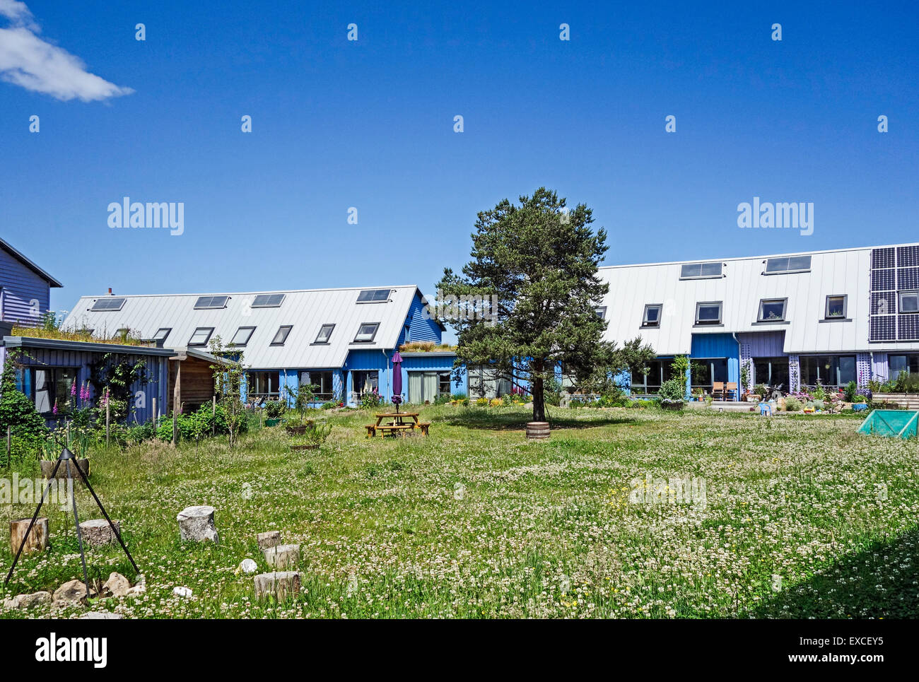 Logement en Orient Whins Co-logement à Findhorn Cluster Eco Village de conservation Moray Ecosse Banque D'Images