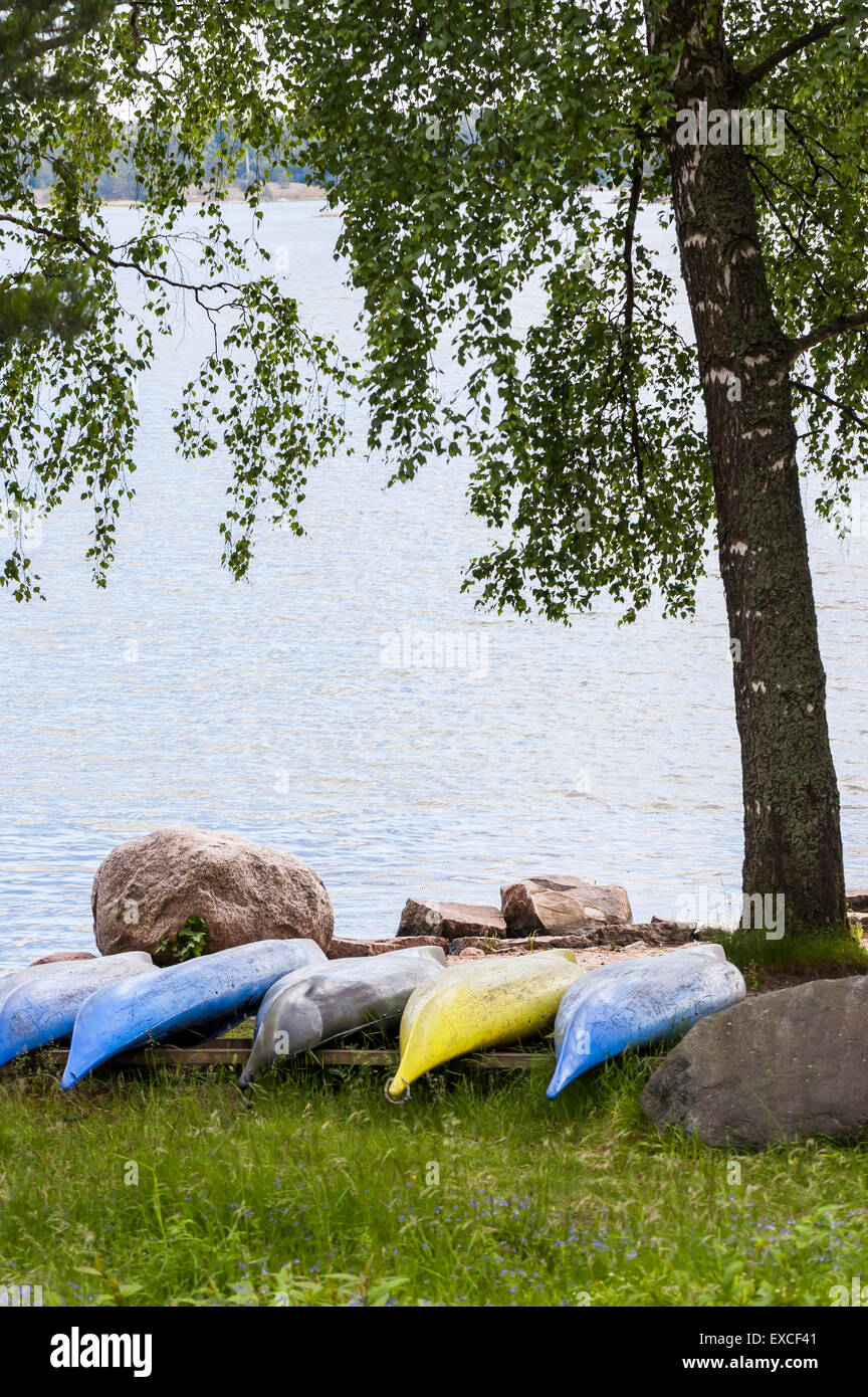 Plusieurs canots bleu et jaune dans la rangée à l'envers sous l'arbre près du lac ou de la mer Banque D'Images