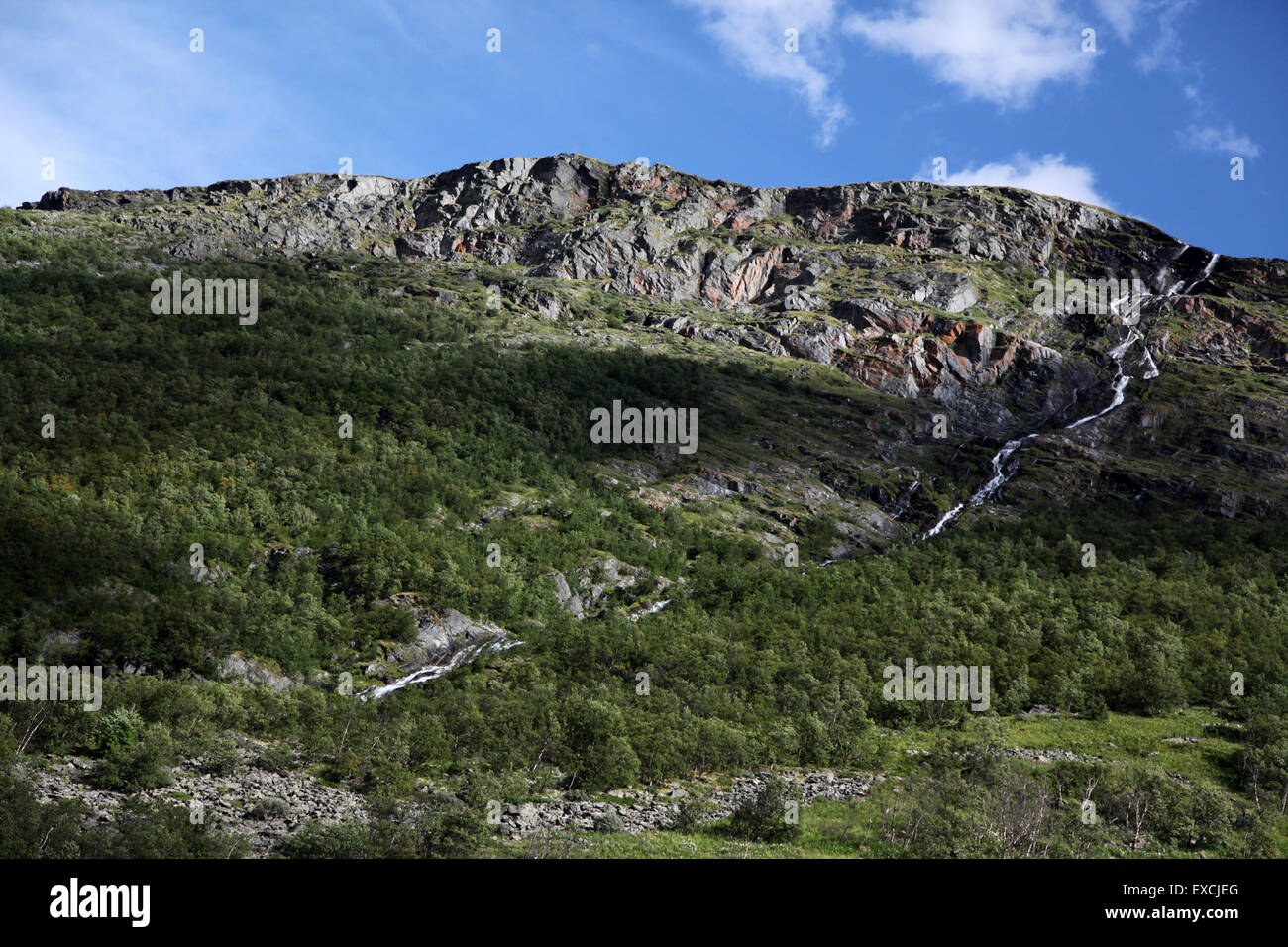 Vue sur le cours d'eau, la pente de montagne et les forêts, Norvège Banque D'Images