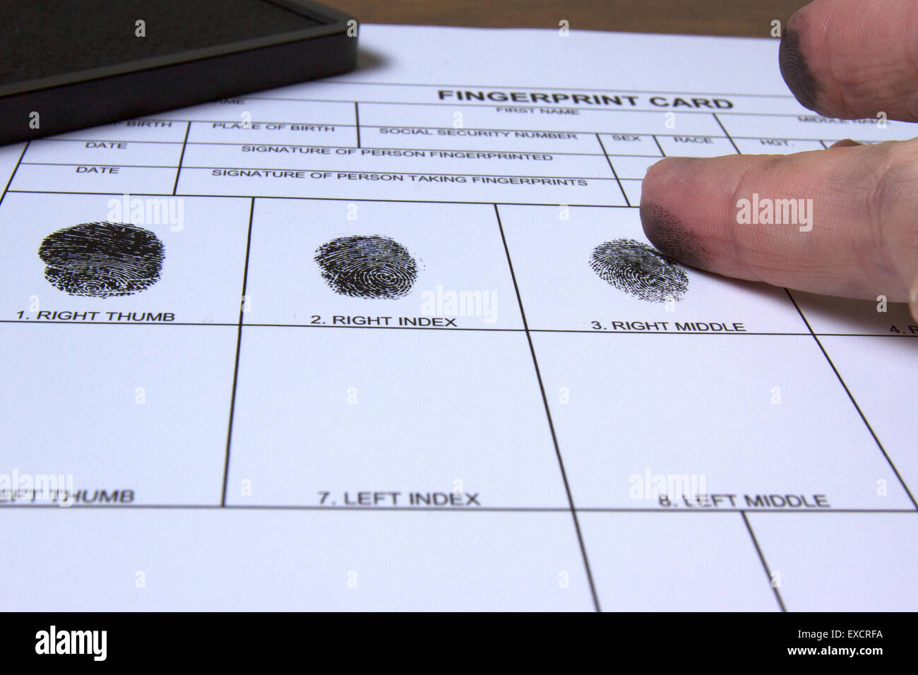 Être féminin d'empreintes digitales sur carte blanche à l'aide de tampon d'encre noire. Banque D'Images