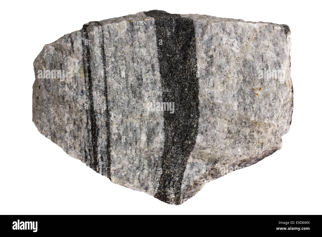 Gneiss roche métamorphique (amphiboles) Banque D'Images