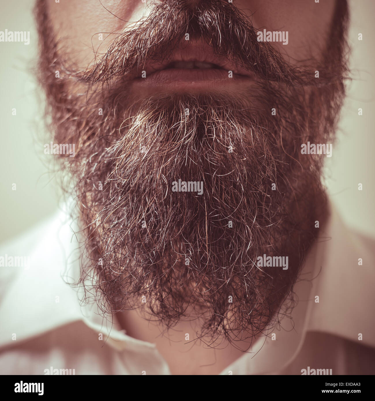 Close up de longue barbe et moustache homme avec une chemise blanche Banque D'Images