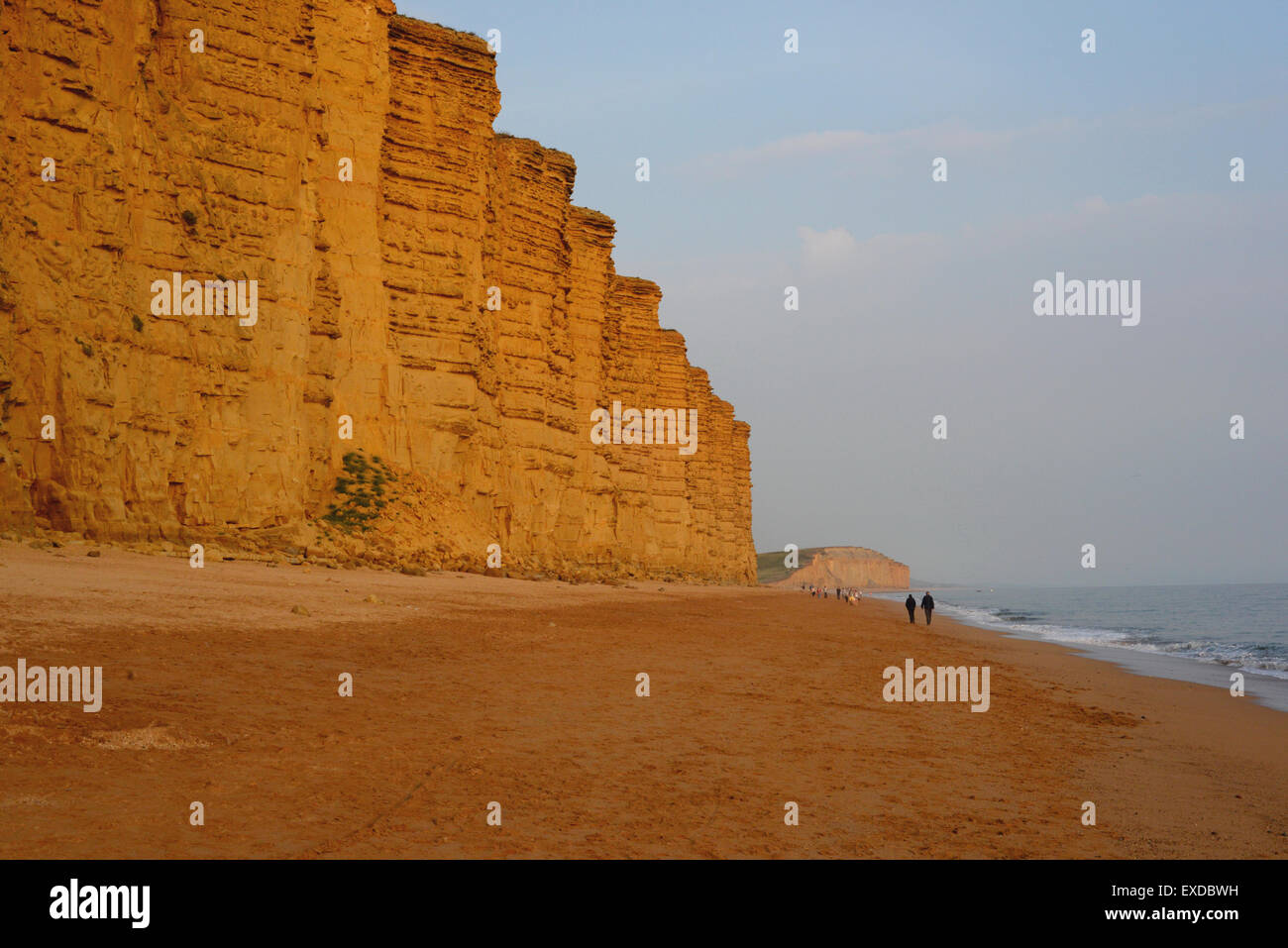 Falaises de grès sur la côte jurassique à West Bay à Dorset, Royaume-Uni Banque D'Images