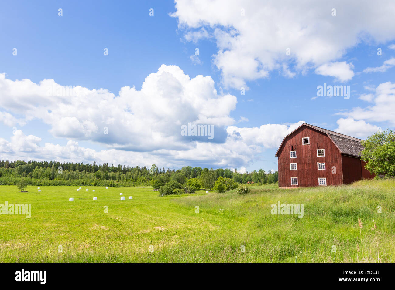 Vue panoramique d'une ancienne grange avec l'ensilage de balles blanches avec un ciel bleu Banque D'Images