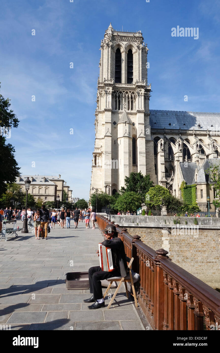 Joueur d'accordéon à Pont au double, la cathédrale Notre-Dame dans le quatrième arrondissement de Paris, l'Ile de la Cité, Paris. La France. Banque D'Images