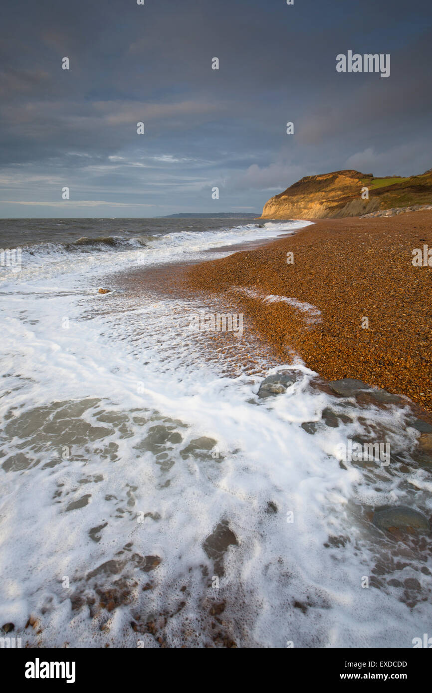 Plage de Seatown Golden Cap Dorset UK au-delà ; Banque D'Images