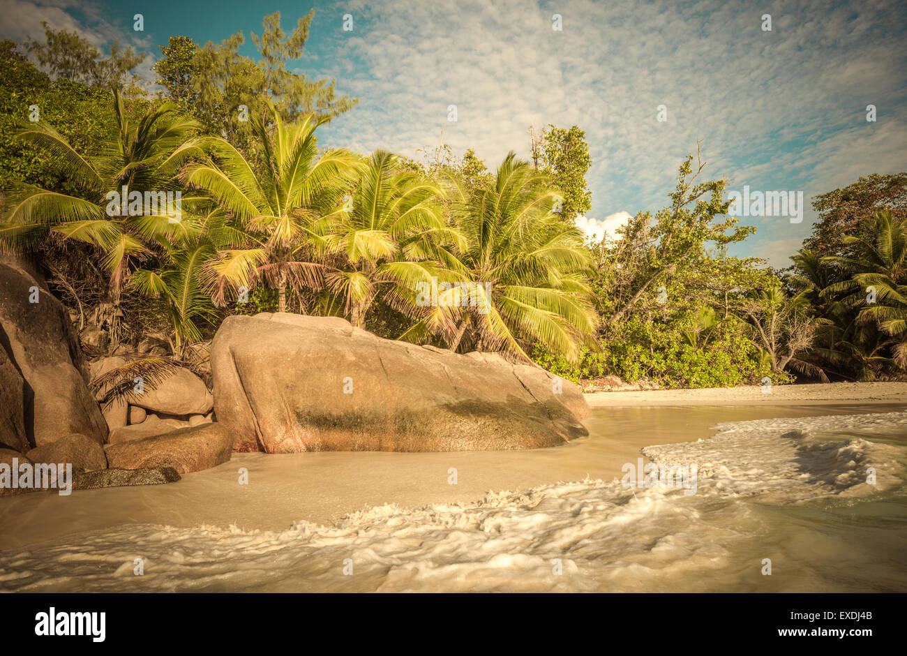Image style rétro de tropical island beach Banque D'Images