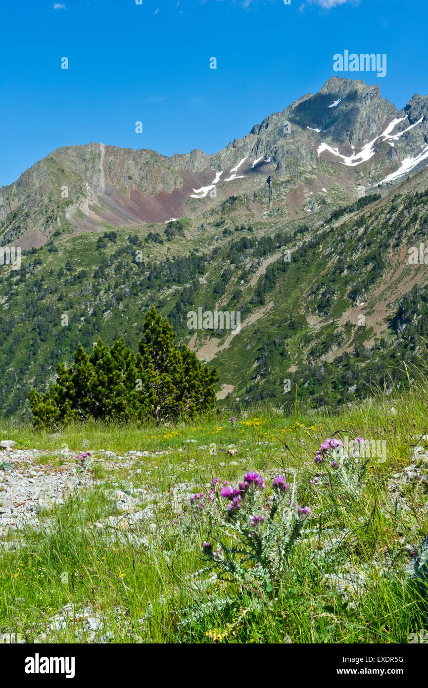 Route des Lacs, Midi-Pyrenees, France Banque D'Images