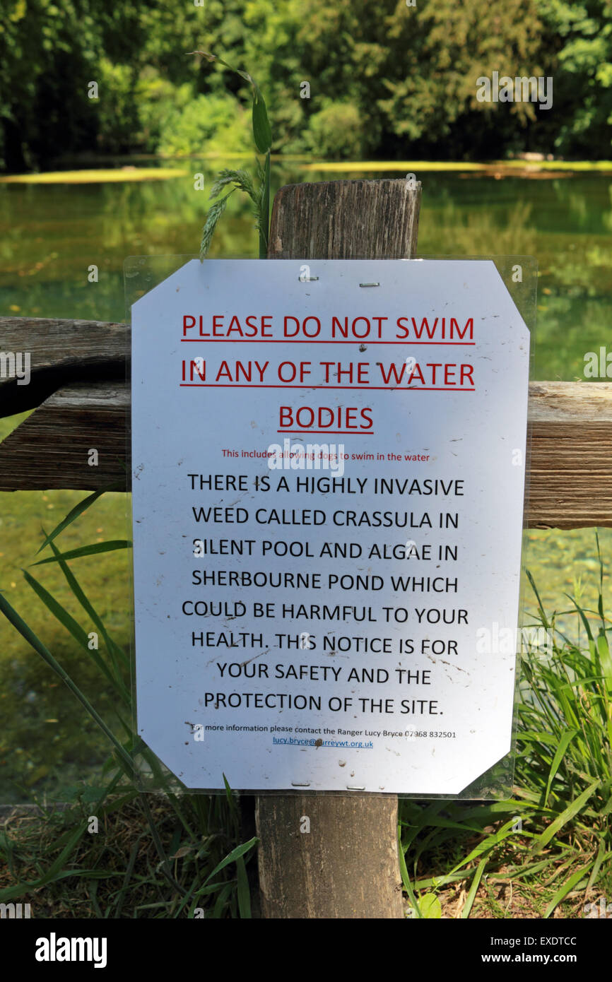 Panneau d'avertissement de mauvaises herbes de l'étang très envahissante appelée crassula aussi nocifs pour la santé présents dans le silence et la piscine Étang Sherbourne UK Banque D'Images