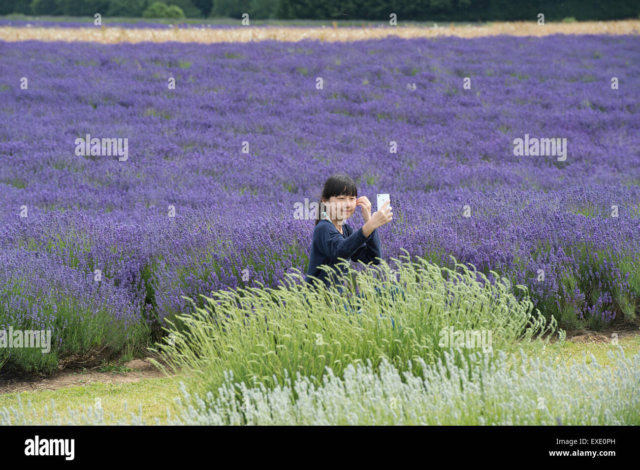 De touristes chinois en tenant une femelle en face de selfies Snowshill Lavender à Gloucestershire Angleterre ferme Banque D'Images