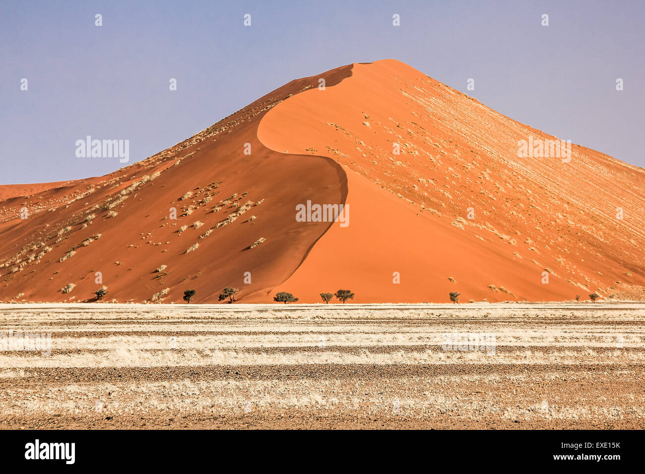Désert de dunes Banque D'Images