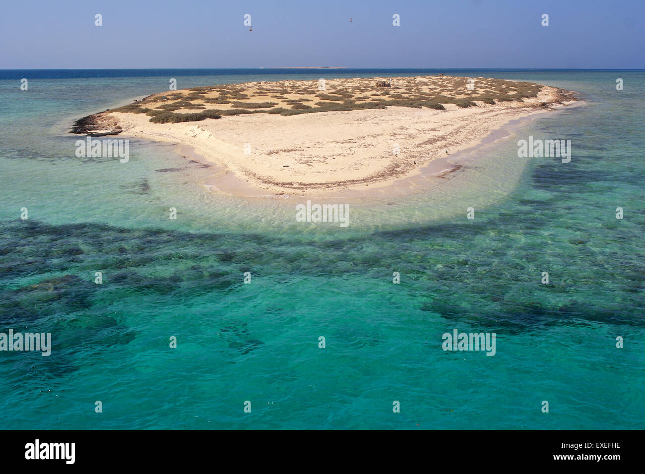 Le paradis de l'atoll des îles Qulaan en Mer Rouge Egypte Hamada Banque D'Images