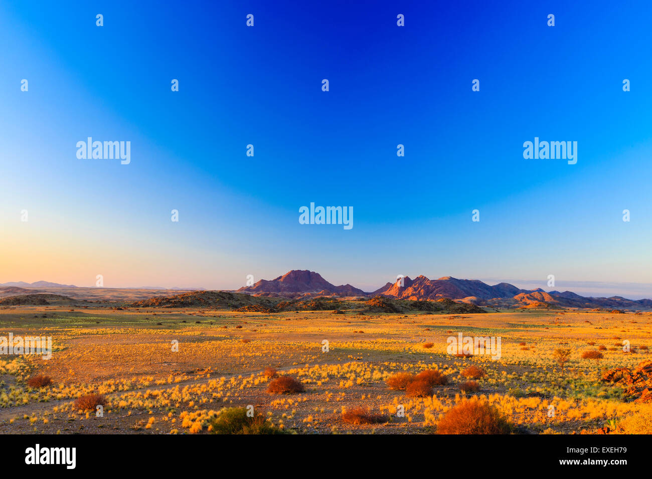 Vaste paysage dans le Namib Naukluft Park, Namibie Banque D'Images