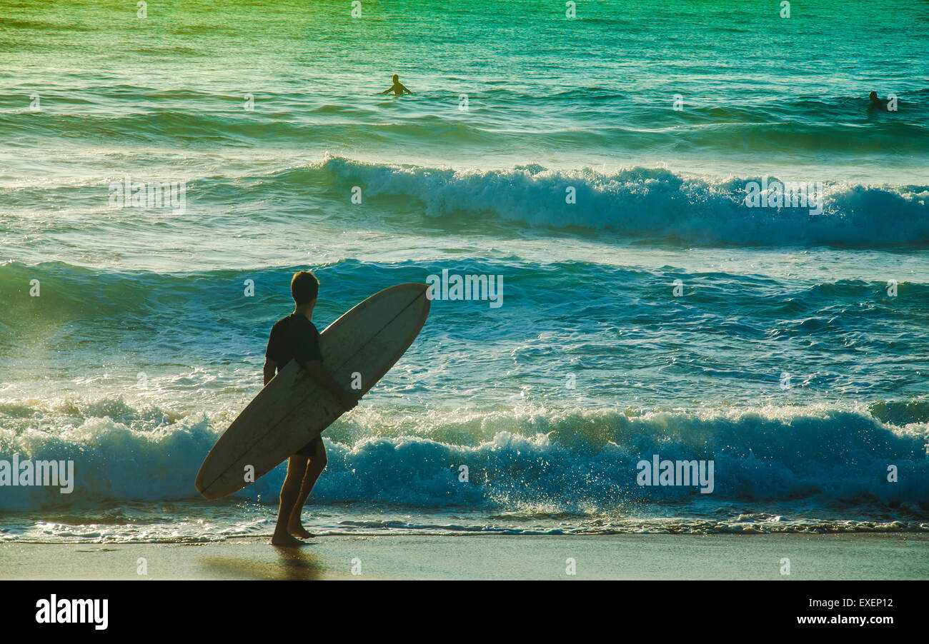 Un pilote de surf qui regarde l'eau à l'aube, avec un appareil photo de retour à Palm Beach, à Sydney, pas de corde sur les jambes et pas de combinaison moulante Banque D'Images