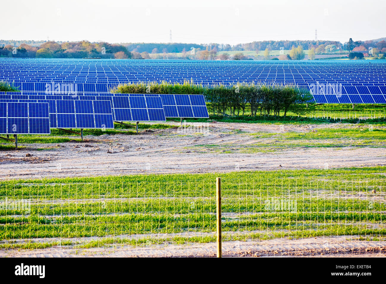 Vue d'une usine de production d'électricité solaire dans un fileld en Angleterre Banque D'Images