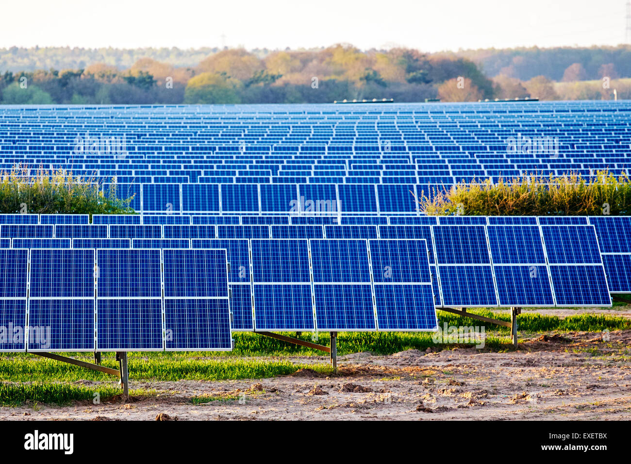 Vue d'une usine de production d'électricité solaire dans un fileld en Angleterre Banque D'Images